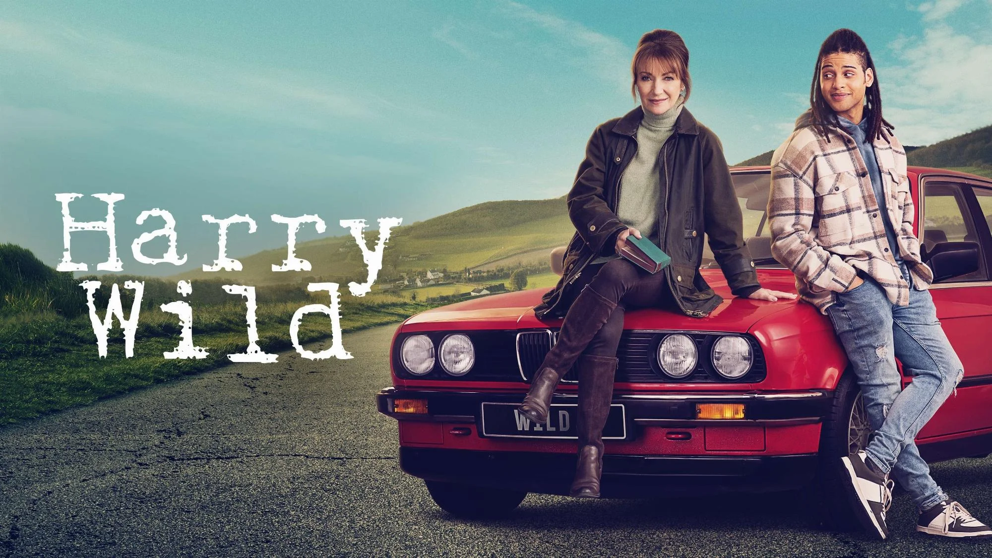 Harry Wild - Streams, Episodenguide und News zur Serie