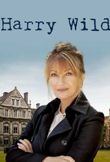 Harry Wild - Mörderjagd in Dublin
