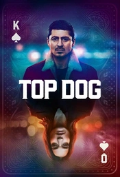 Serienposter