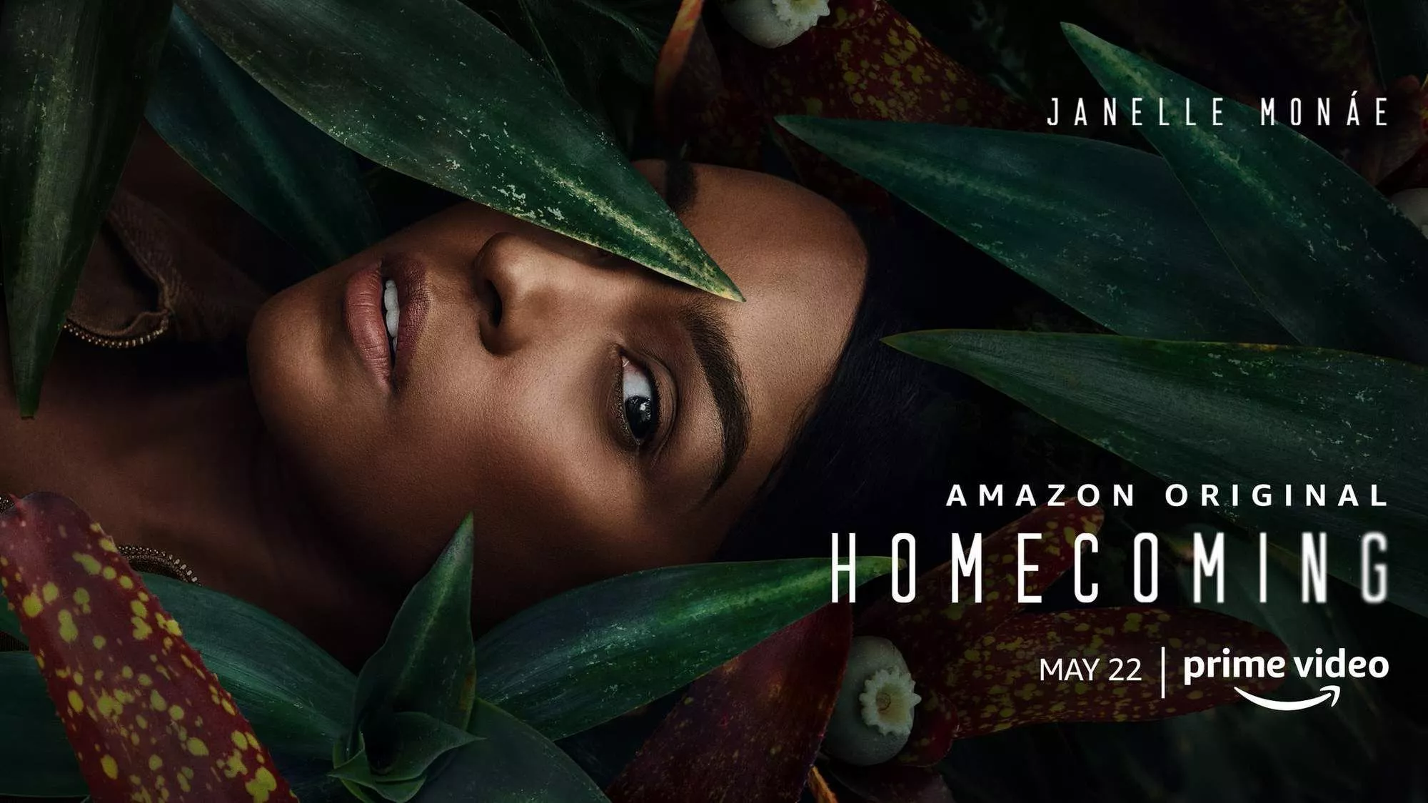 Homecoming - Streams, Episodenguide und News zur Serie