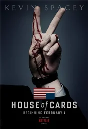 House of Cards Serienposter