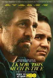 I Know This Much Is True Poster Staffel 1