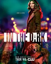 In the Dark Poster Staffel 1