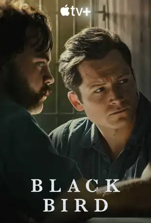 Black Bird Poster