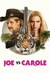 Joe vs Carole Poster