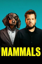 Staffel 1 Serienposter 3