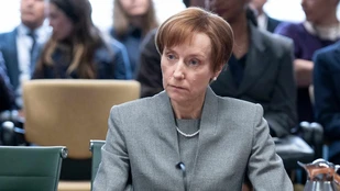 Lia Williams als Paula