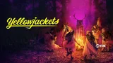 Yellowjackets