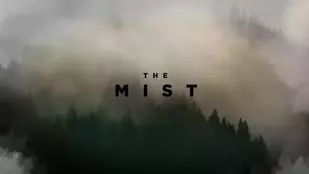 The Mist