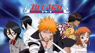 Bleach