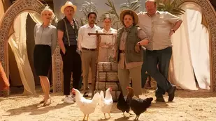 Das Institut - Oase des Scheiterns