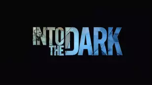 Into the Dark
