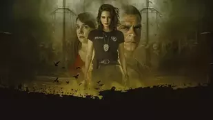 Guten Morgen, Veronica