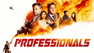 The Professionals