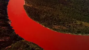 The Red