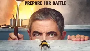 Man vs Bee