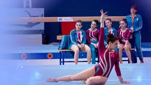 The Gymnasts