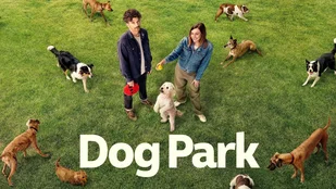 Dog Park