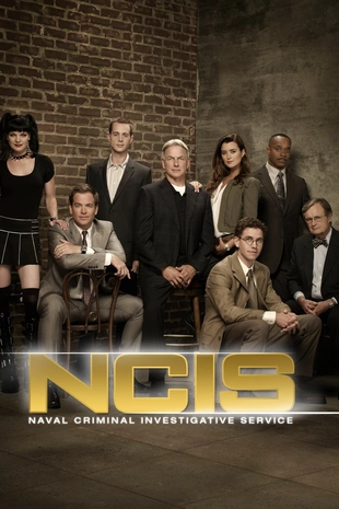 Poster zur Staffel 12