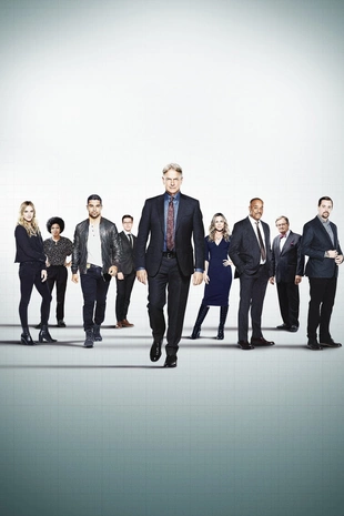 Staffel 18 Serienposter