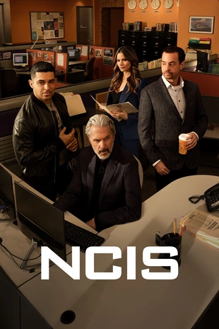 Staffel 22 Serienposter