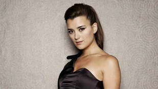 Cote De Pablo als Probationary Special Agent Ziva David