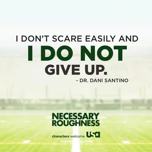 Necessary Roughness Poster Staffel 2