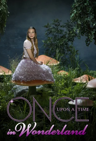 Once upon a Time in Wonderland Poster