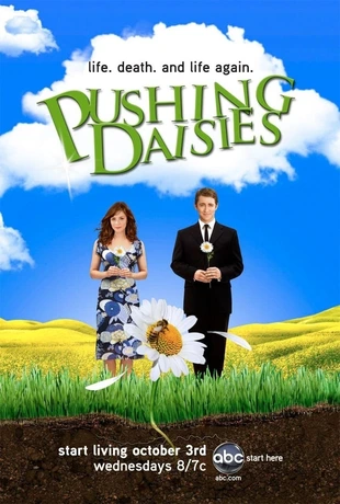 Pushing Daisies Poster