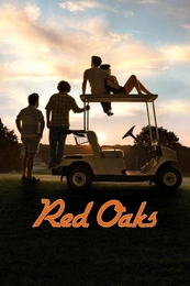 Serienposter