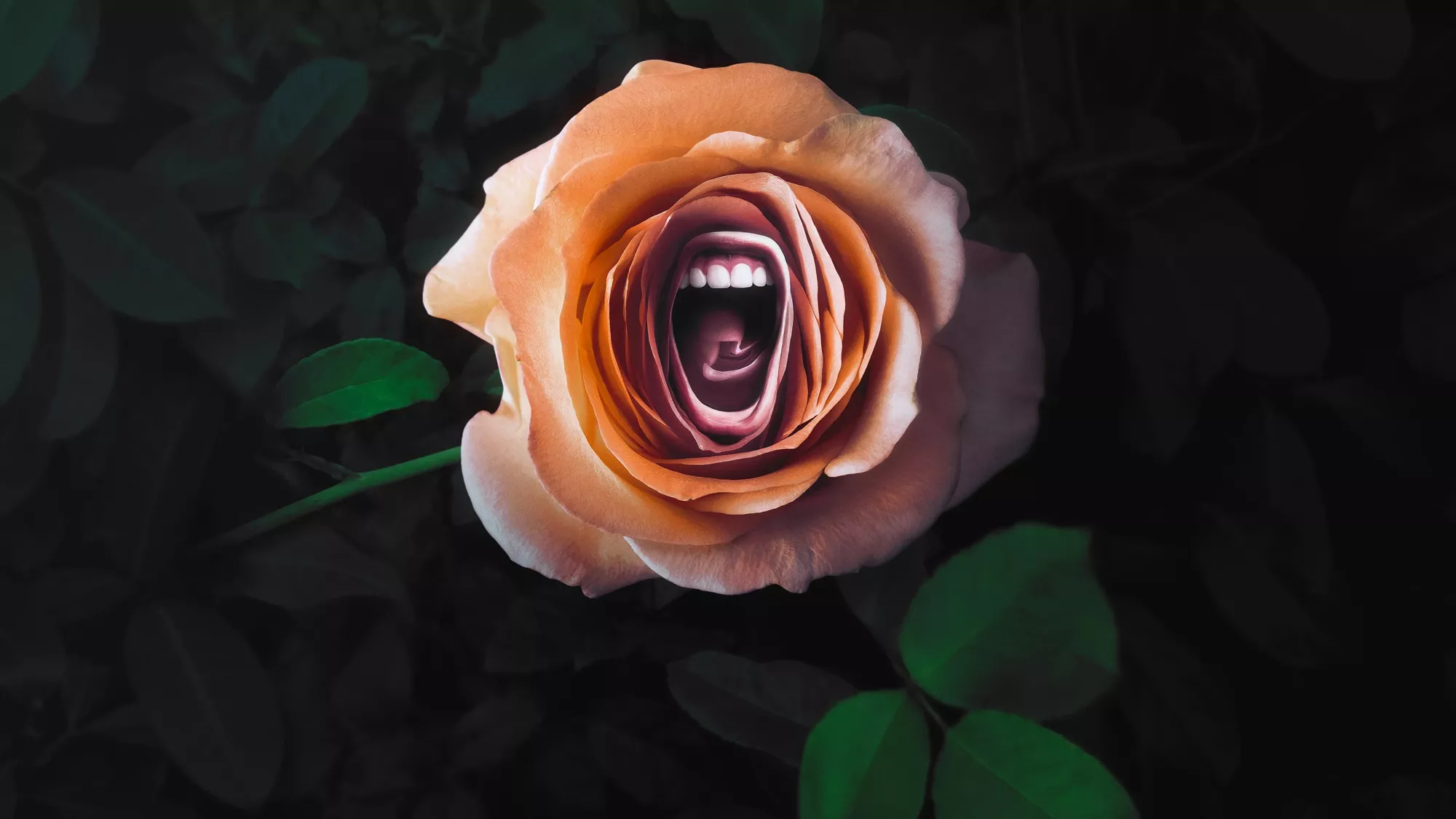 Roar - Streams, Episodenguide und News zur Serie