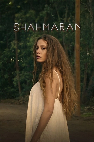 Staffel 1 Serienposter 2