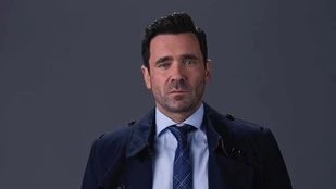 Allan Hawco als Fitz