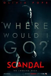 Scandal Poster zu Staffel 4