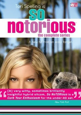 So NoTORIous Poster Staffel 1