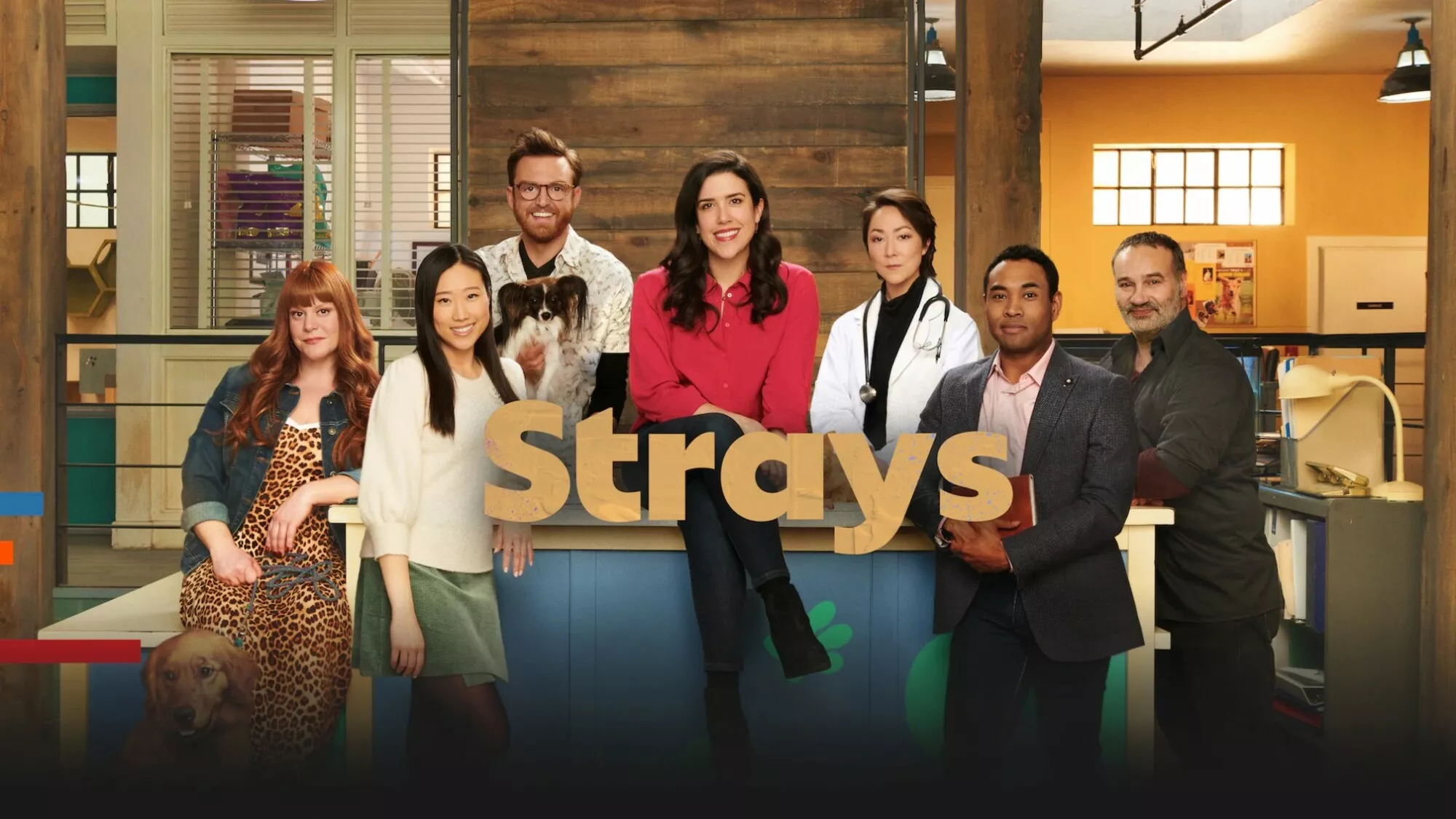 Strays - Episodenguide und News zur Serie