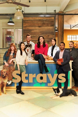 Staffel 1 Serienposter 2
