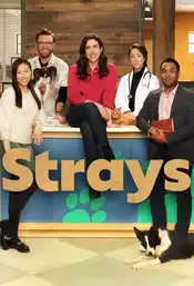 Strays Poster Staffel 1
