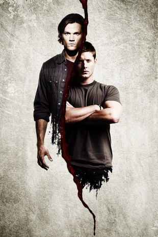 Staffel 11 Serienposter