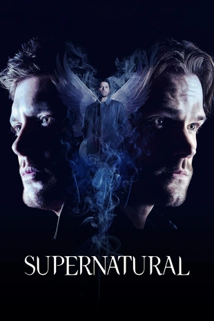 Poster 3 Staffel 15