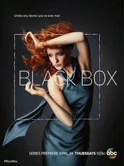 Black Box Poster zum Serienstart