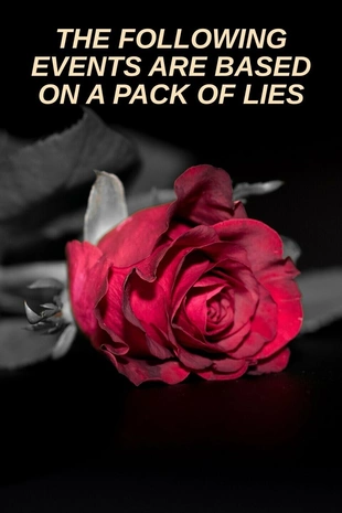 The Following Events Are Based on a Pack of Lies Poster