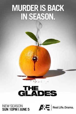 The Glades - 6. Poster