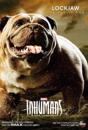 Poster 14 Staffel 1