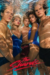 Staffel 1 Serienposter 2