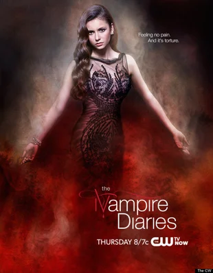 The Vampire Diaries Poster Nina Dobrev
