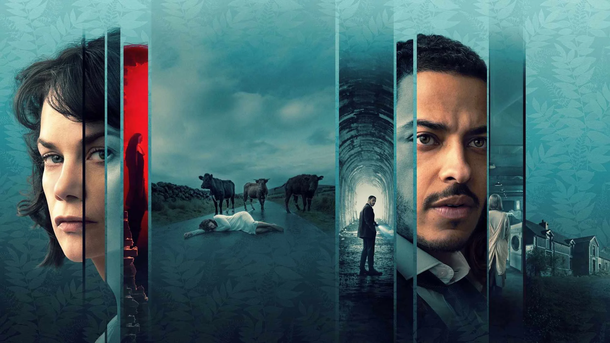 The Woman in the Wall - Streams, Episodenguide und News zur Serie
