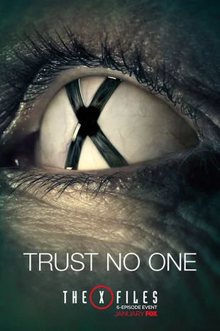 The X-Files Poster: Trust no one