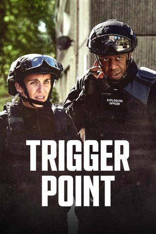Serienposter