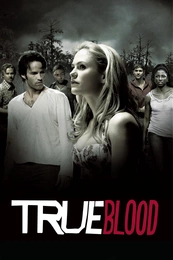 Serienposter